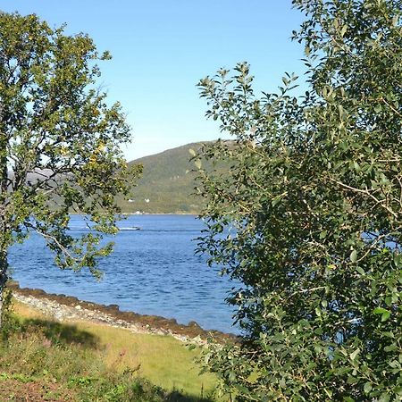 Kvaløya Lodge Futrikelv Eksteriør bilde