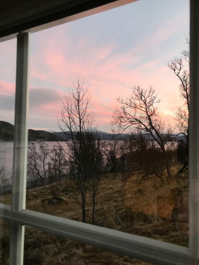 Kvaløya Lodge Futrikelv Eksteriør bilde