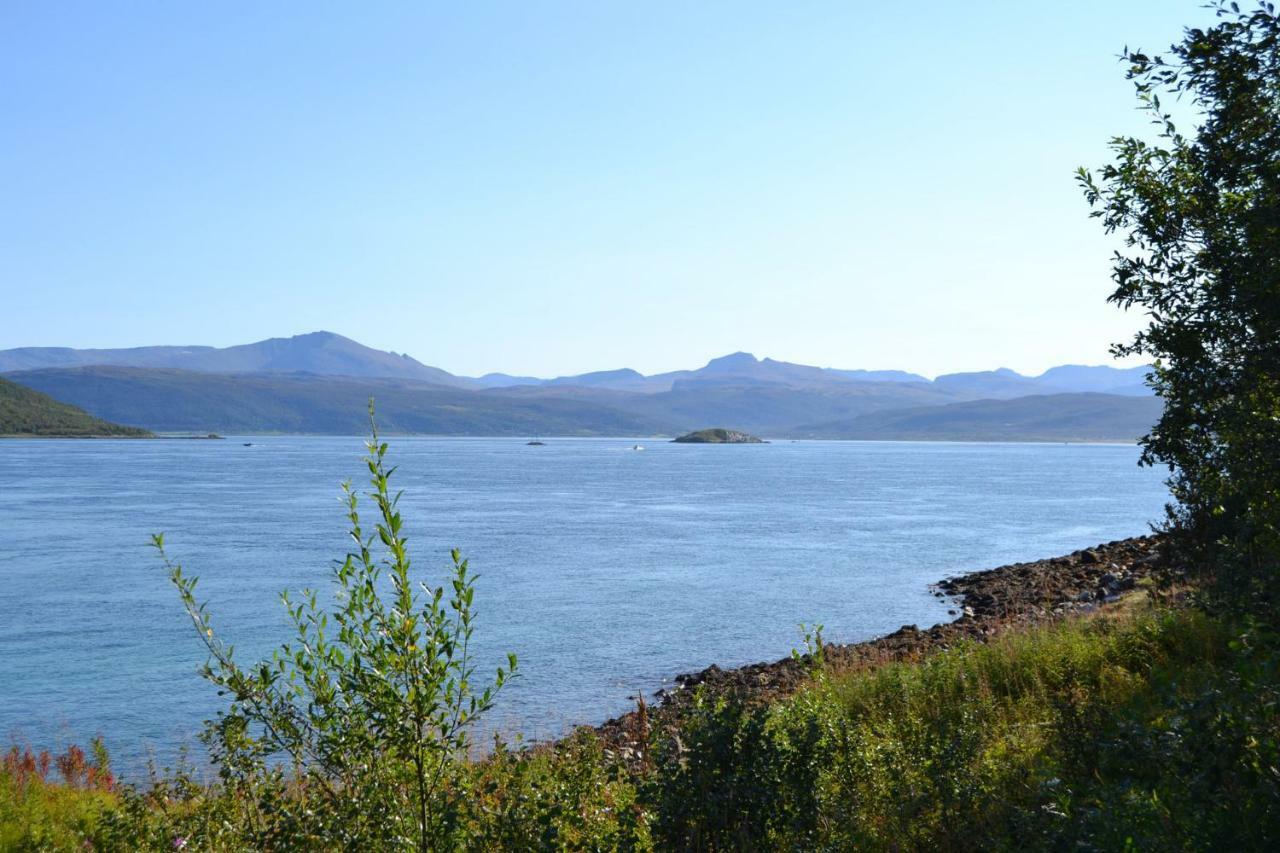 Kvaløya Lodge Futrikelv Eksteriør bilde
