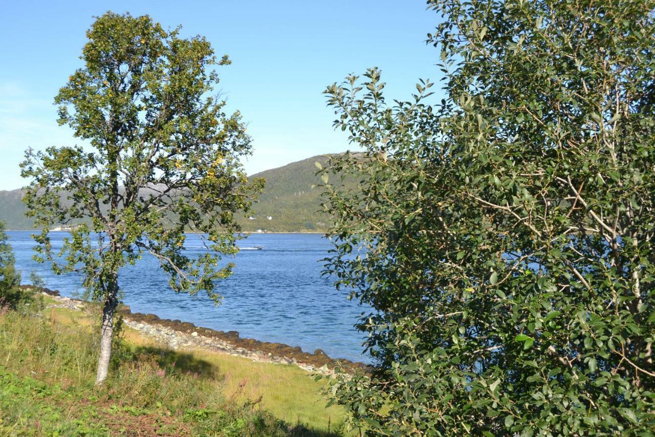 Kvaløya Lodge Futrikelv Eksteriør bilde