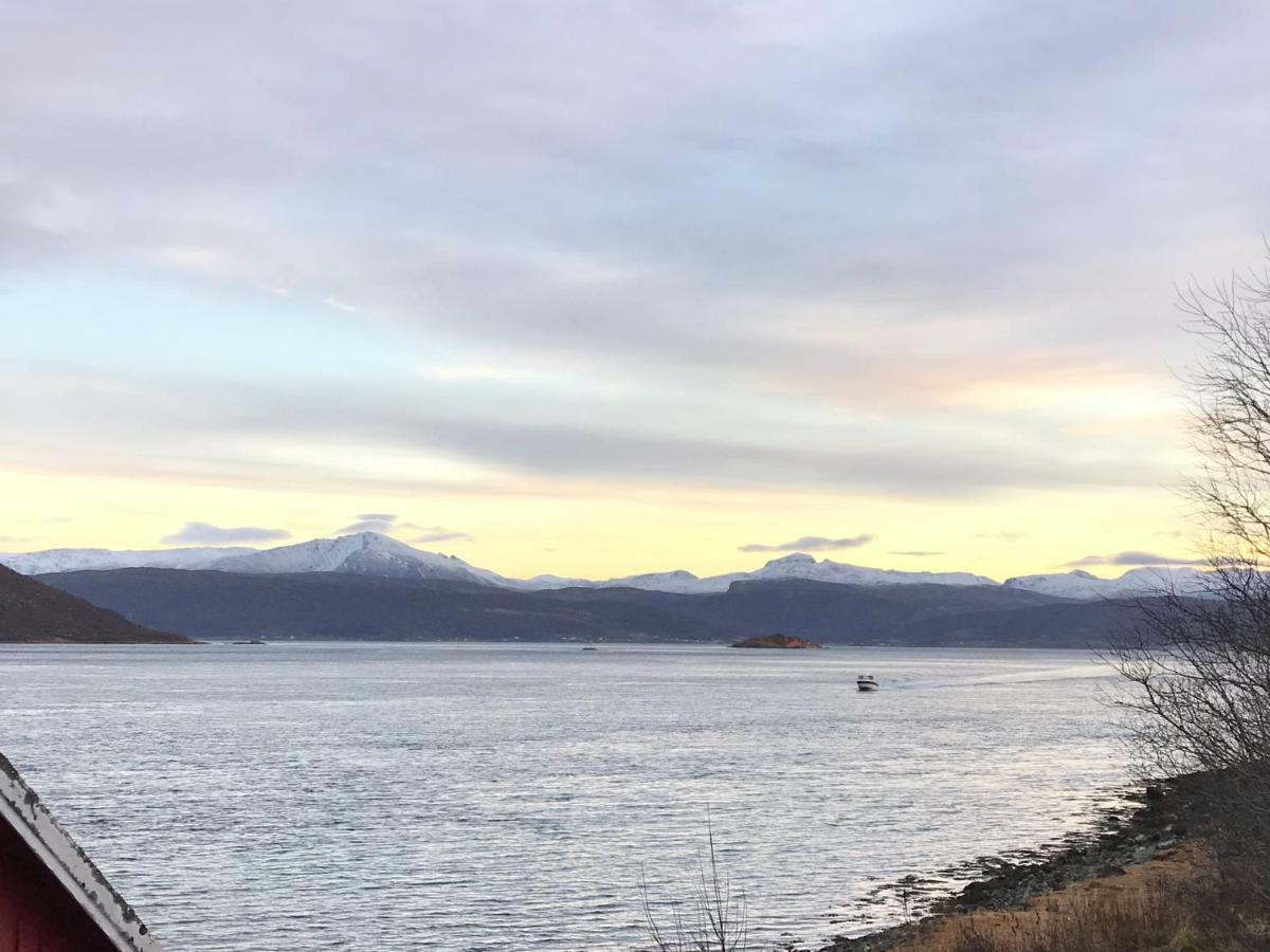 Kvaløya Lodge Futrikelv Eksteriør bilde